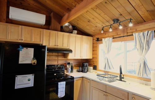 Mount Shasta House | Mt Shasta's Stargazer Cabin