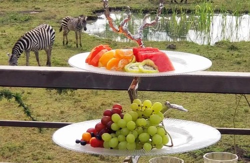 Nanyuki Villa | MTALII BUSH PALACE