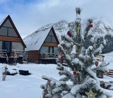 Kazbegi Apartment | MTISGULI Cottages
