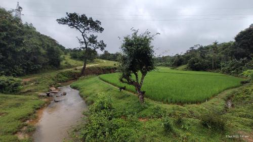 Sakleshpur House | Mugilu for families and couples only