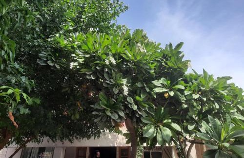 Malviya Nagar Hotel | Mukam, Boutique Homestay