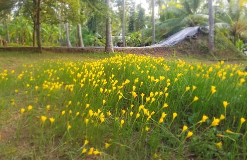 Anaimalai House | Mullai Farms