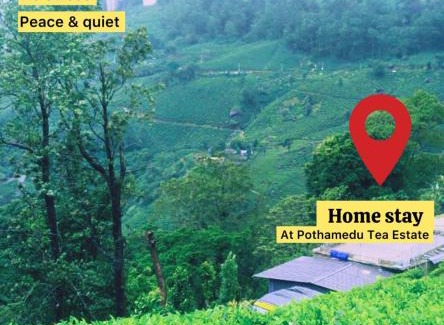 Pallivasal Villa | Munnar pothamedu 3 Bedroom mountain Cottage - hills top, 3 bed room,hall public parking, peaceful location
