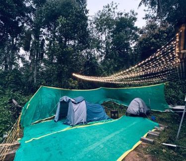 Munnar Other | Munnar Tents