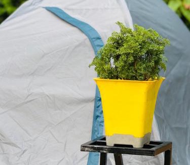 Munnar Other | Munnar Tents