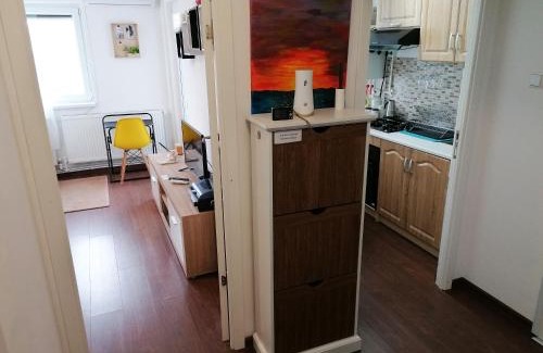 Hunedoara Apartment | Munteniei - The Sunset Studio
