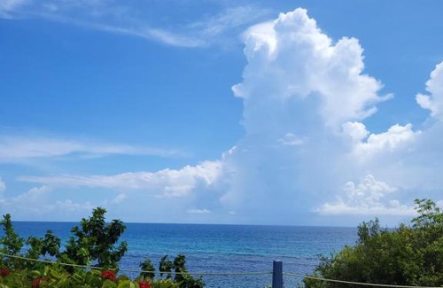 Ocho Rios Apartment | Munzels Oceanview retreat