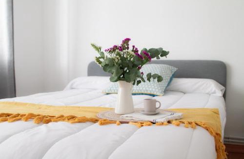 Lugo Apartment | Muralla de Tata