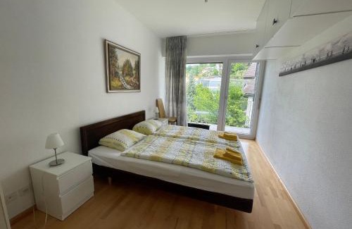 Muralto Apartment | Muralto-Locarno: Collina Apt. 32