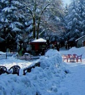 Murree Apartment | Murree Oaks Tulip Block