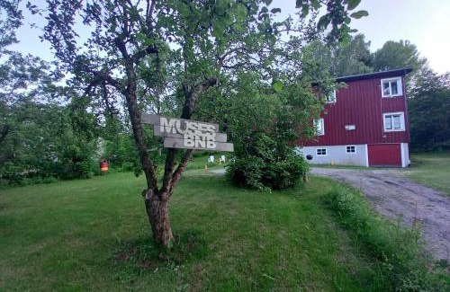 Bergvik Bed & Breakfast | MUSES BNB Bed & Breakfast
