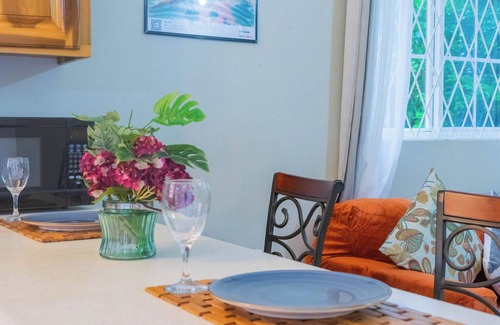 New Kingston Apartment | Musgrave AnneX - Cozy apartment close to restaurants and entertainment