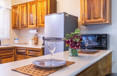 New Kingston Apartment | Musgrave AnneX - Cozy apartment close to restaurants and entertainment