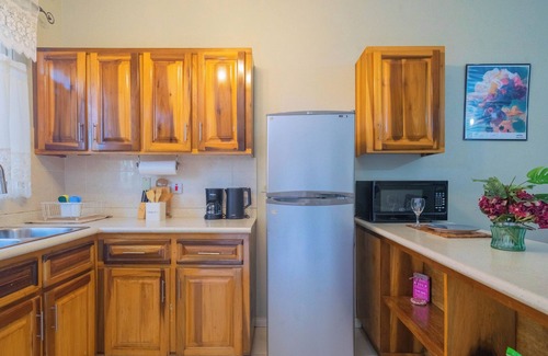 New Kingston Apartment | Musgrave AnneX - Cozy apartment close to restaurants and entertainment