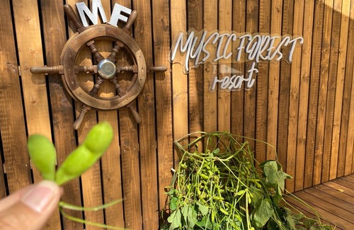 Sasayama Cottage | MUSIC FOREST villacamp BBQ PARTY plan - MUSIC FOREST/Tamba-Sasayama Hyōgo