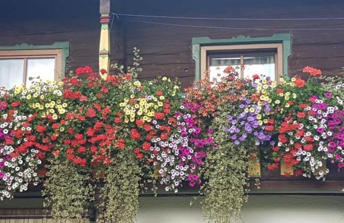 Saalfelden am Steinernen Meer House | Mussbachhof