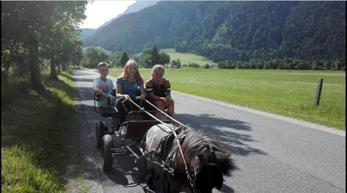 Saalfelden am Steinernen Meer House | Mussbachhof