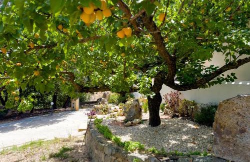 Oliena House | Musserrata Country House