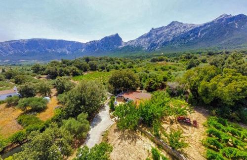Oliena House | Musserrata Country House