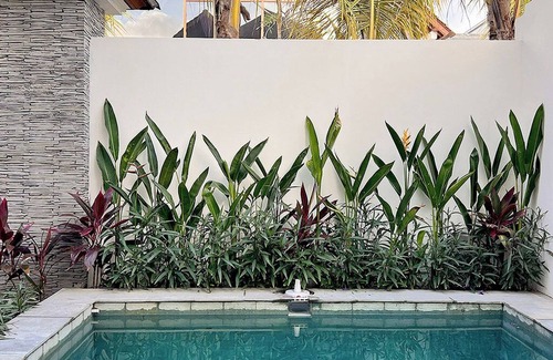 Pecatu House | Muzeum Villas: 2 Bedrooms, 2 Bathroom, Wi-Fi, Kitchen, Private Pool nn