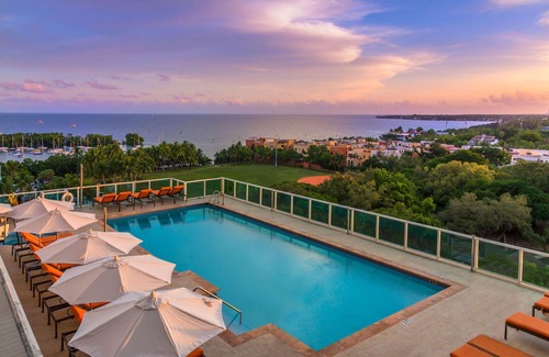 Coconut Grove Apartment | MVR|Exclusive Miami Stay. BOOk Before They’re Gone