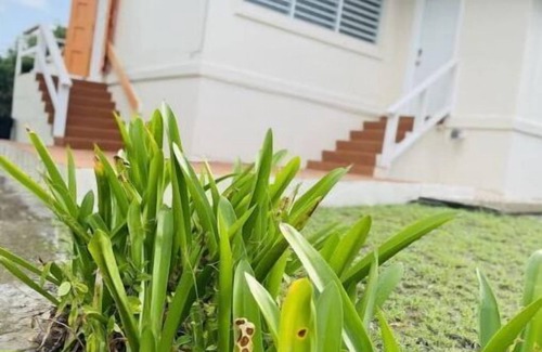 Estate Mount Pleasant West House | My Home - A Vacation In Paradise