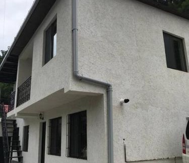 Borjomi House | My House