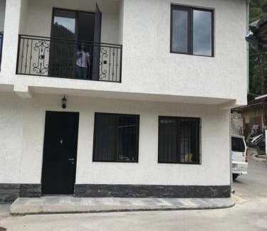Borjomi House | My House