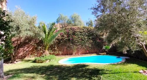Palmeraie Apartment | My Palm House