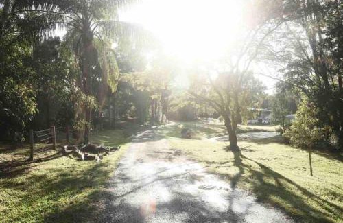 Myocum House | Myocum Farm Stay