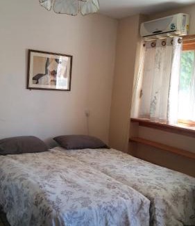 Artists Colony Bed & Breakfast | Myrtle the Turtle Guesthouse