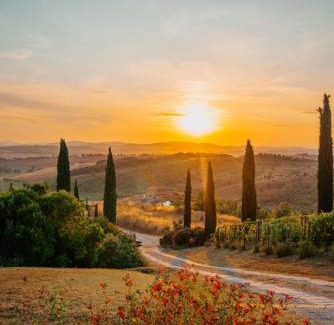Buonconvento Apartment | MYRTUS PODERE CUNINA