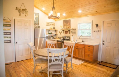 Barren Springs House | Mystic Moon cabin
