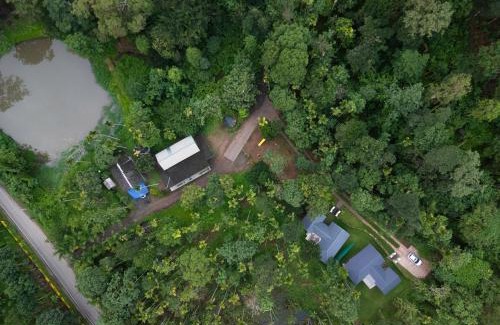Elappara House | Mystic Trees By Cluster Cloud