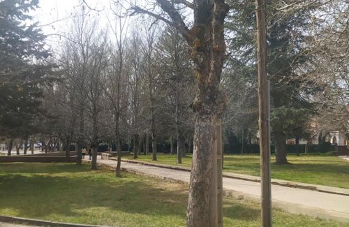 Ifrane Apartment | N7 Residence Bien Etre pour famille