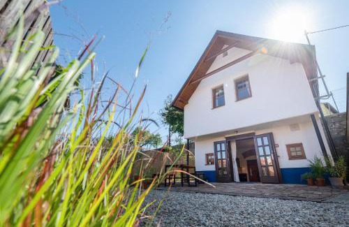 Pavlov House | Na cestě