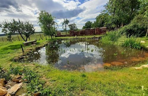 Novosedly nad Nezarkou Apartment | Na Chalupě u sádky
