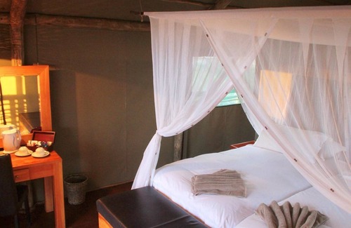 Intu Afrika Kalahari Private Reserve Cabin | Suricate Tented Lodge