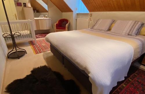 Rotem House | Nachtegaal