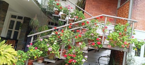 Devikolam House | Nadackal Nature County
