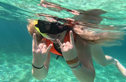 Akumal Other | Nado con tortugas marinas en akumal