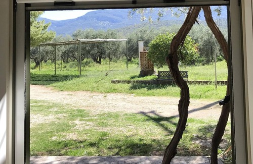 Kefalari Cottage | Nafplio Cottage - THE KOTSONIS ESTATE, Olive Grove