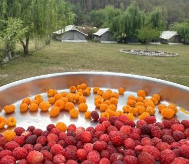 Naina Range Other | Nainital Camp Wildland & Farmstay