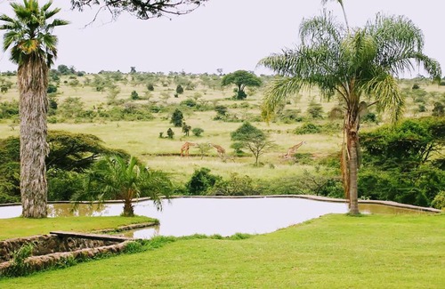 Nairobi Apartment | Nairobi National Park - Kampi ya Karin