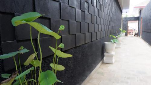 Borobudur Hotel | Nalendro Villa Borobudur
