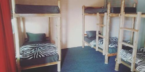 Pushkar Hostel | Namaste India
