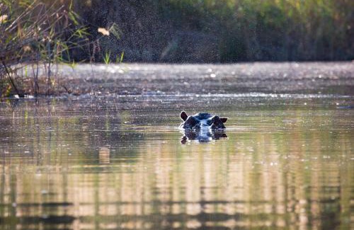 Zambezi Region Other | Namushasha River Campsite