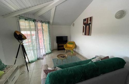 Cayenne Apartment | NANA - A 44 - Vue Panoramique- Grand Appartement Cosy et Lumineux- Cuisine équipée-WIFI-CLIM-Terrasse