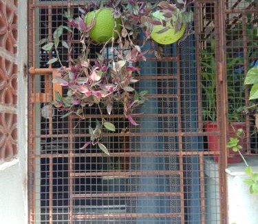 Santiniketan House | Nandini Santiniketan Homestay