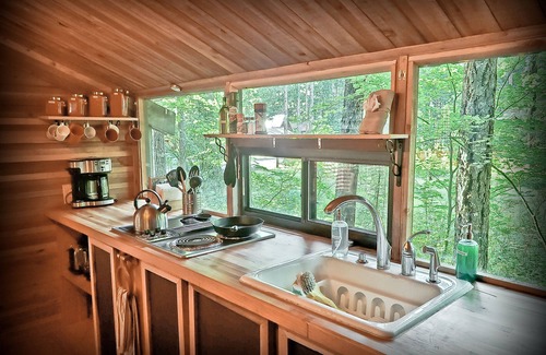 Packwood Cabin | Nanook's Retreat- Pet & Kid Friendly Rustic Cabin w/AC and WIFI